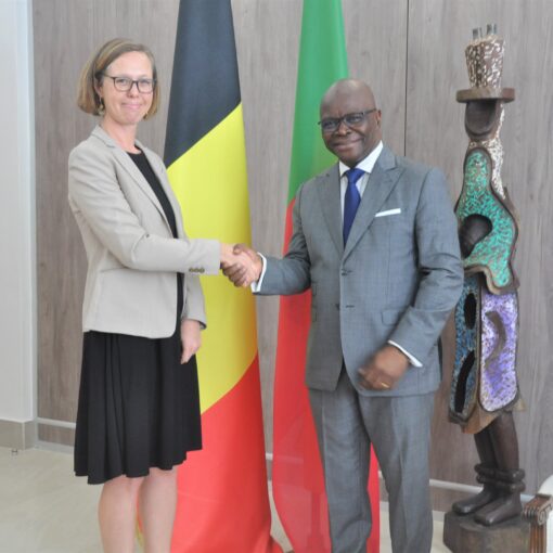 Accréditation d'une nouvelle ambassadrice de Belgique au Bénin : état des relations entre les deux pays