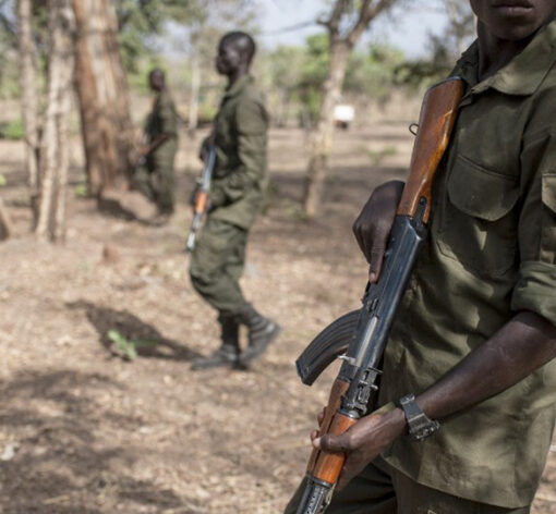 Attaque terroriste au Bénin : 07 soldats tués dans le parc de la Pendjari