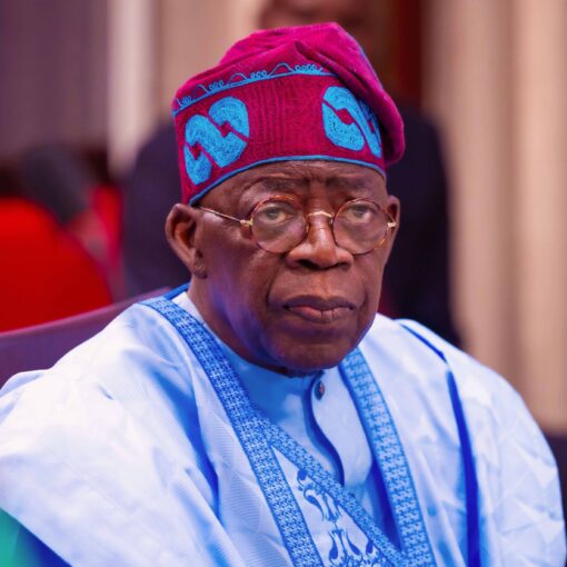 Coup d'État au Niger : Bola Tinubu va-t-il gagner son pari ?