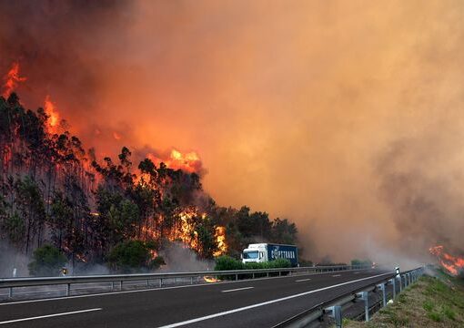 Catastrophe meurtrière/Les flammes dévastatrices frappent l'archipel d'Hawaï : le bilan est lourd