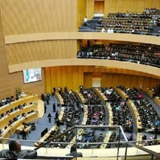 Le Parlement de la CEDEAO s'oppose à l'usage de la force contre les putschistes au Niger !