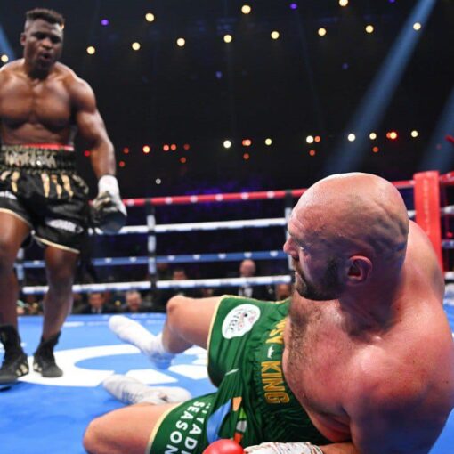 Boxe : objectif atteint pour Tyson Fury et Francis N’gannou