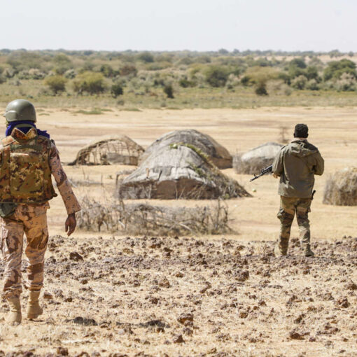 Enlèvements au Mali : une partie des otages libérée