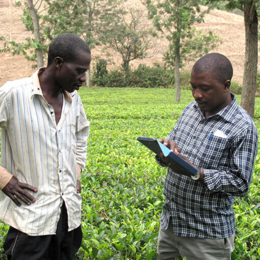 Bénin : des mesures de soutien aux agriculteurs pour la campagne agricole 2024-2025