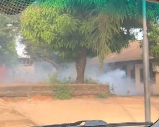 Violence policière en Guinée-Bissau : des députés et citoyens agressés lors d'une sensibilisation