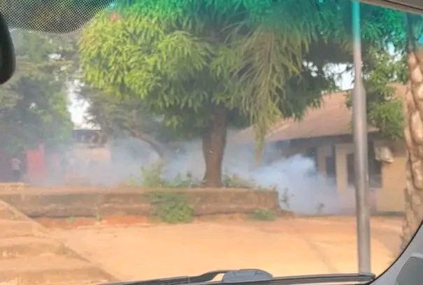 Violence policière en Guinée-Bissau : des députés et citoyens agressés lors d'une sensibilisation