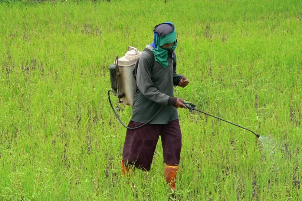 Des produits phytosanitaires périmés menacent l'agriculture béninoise